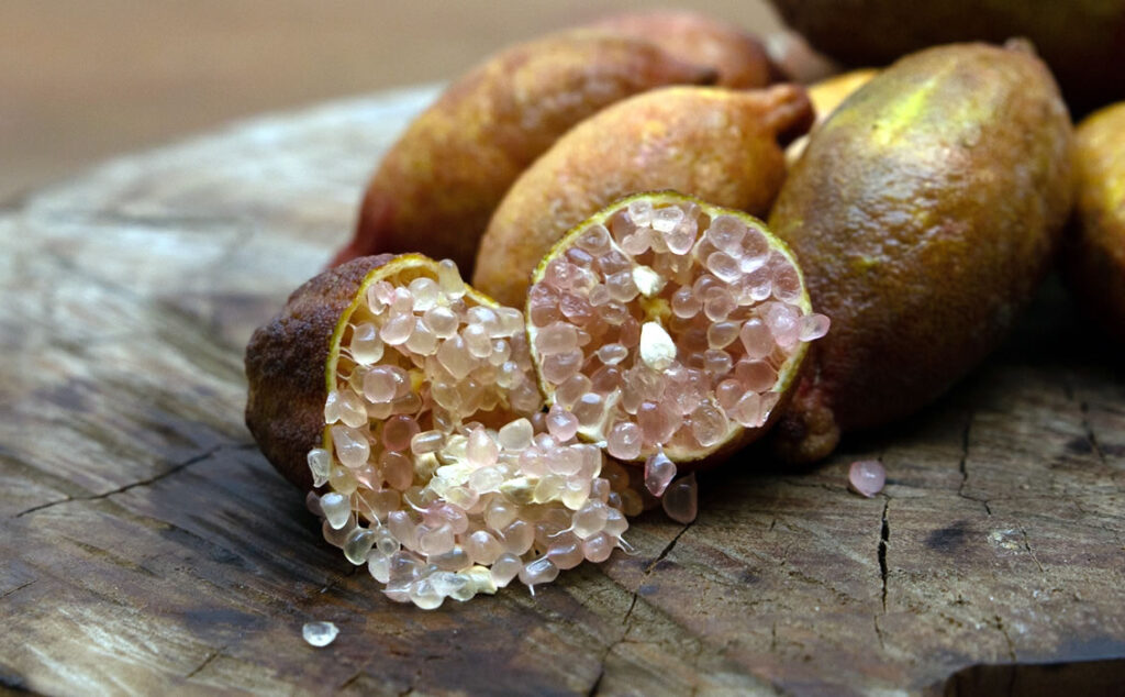 i nostri limoni - finger lime - judy's everbearing - dettaglio