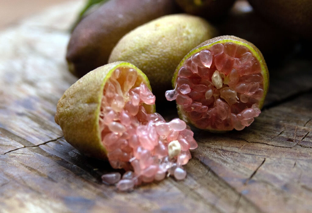 i nostri limoni - finger lime - byron sunrise - dettaglio