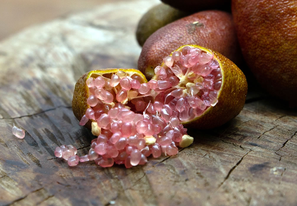 i nostri limoni - finger lime - pink pearl - dettaglio