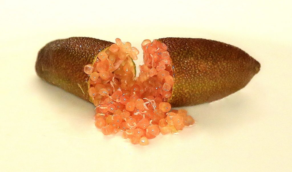 i nostri limoni - finger lime - pink ice - dettaglio