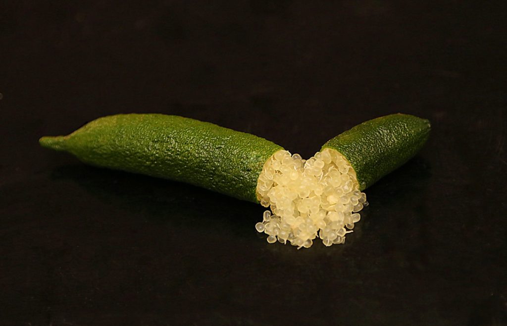 i nostri limoni - finger lime - tasty green - dettaglio