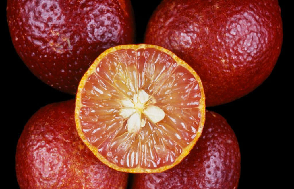 i nostri limoni - blood lime - dettaglio