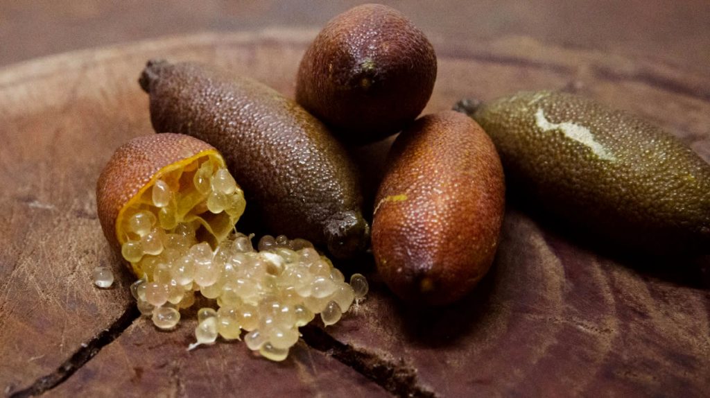 i nostri limoni - finger lime - demerald - dettaglio