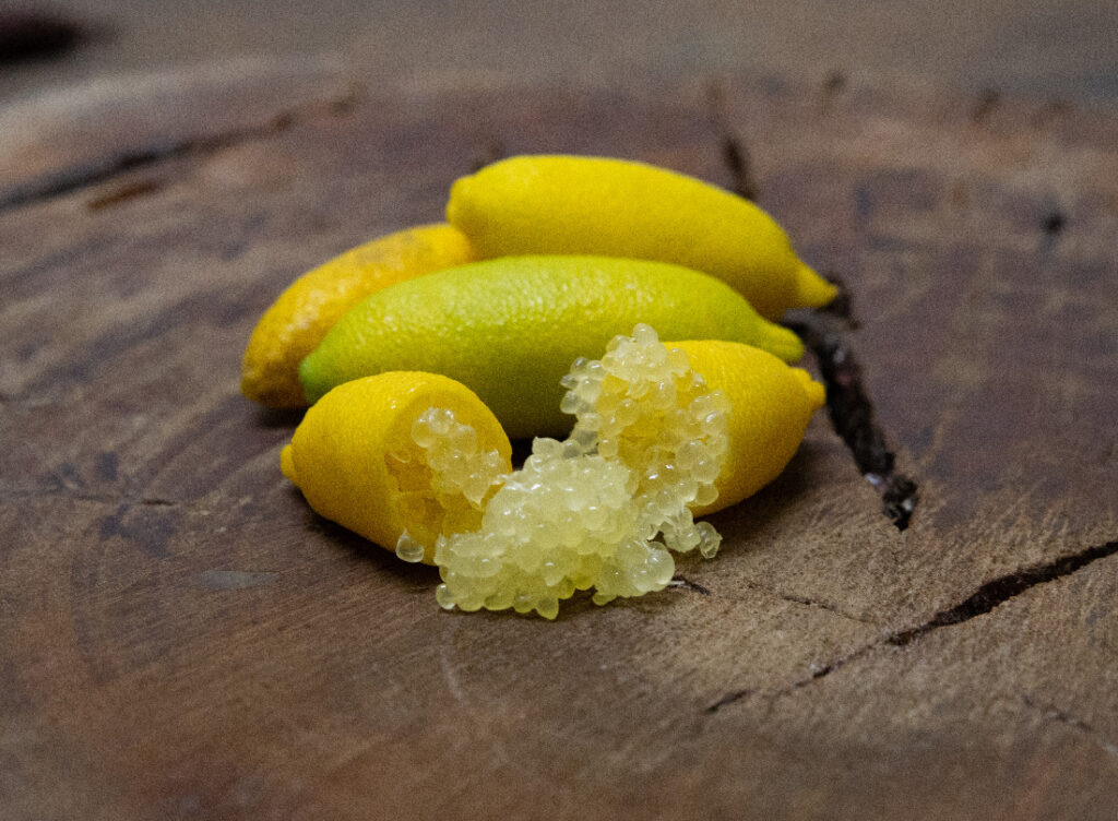 i nostri limoni - finger lime amarillo - dettaglio